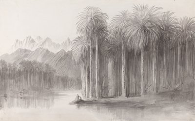 Wady Feiran, Peninsula of Mt. Sinai by Edward Lear